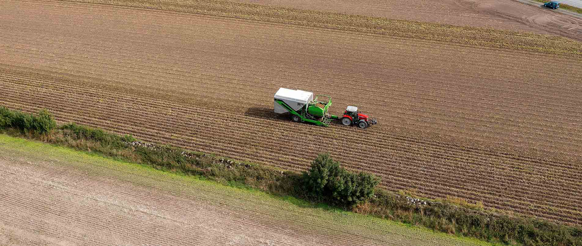 “探、收、烘、运”，看j9国际集团如何四管齐下一站式保障秋收果实