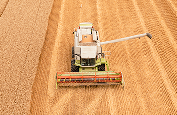 收——加大收割自动化力度，利用智能收获系统，保种保收，提产提质
