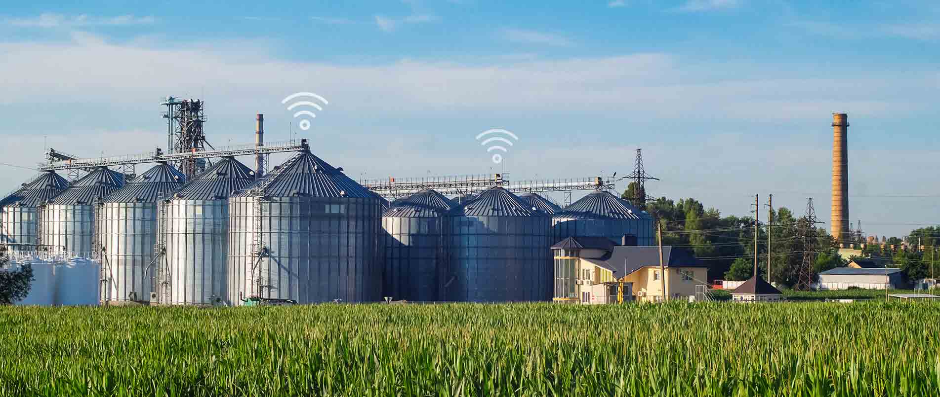 j9国际集团助力夏粮存储新招式，科技手段更有效