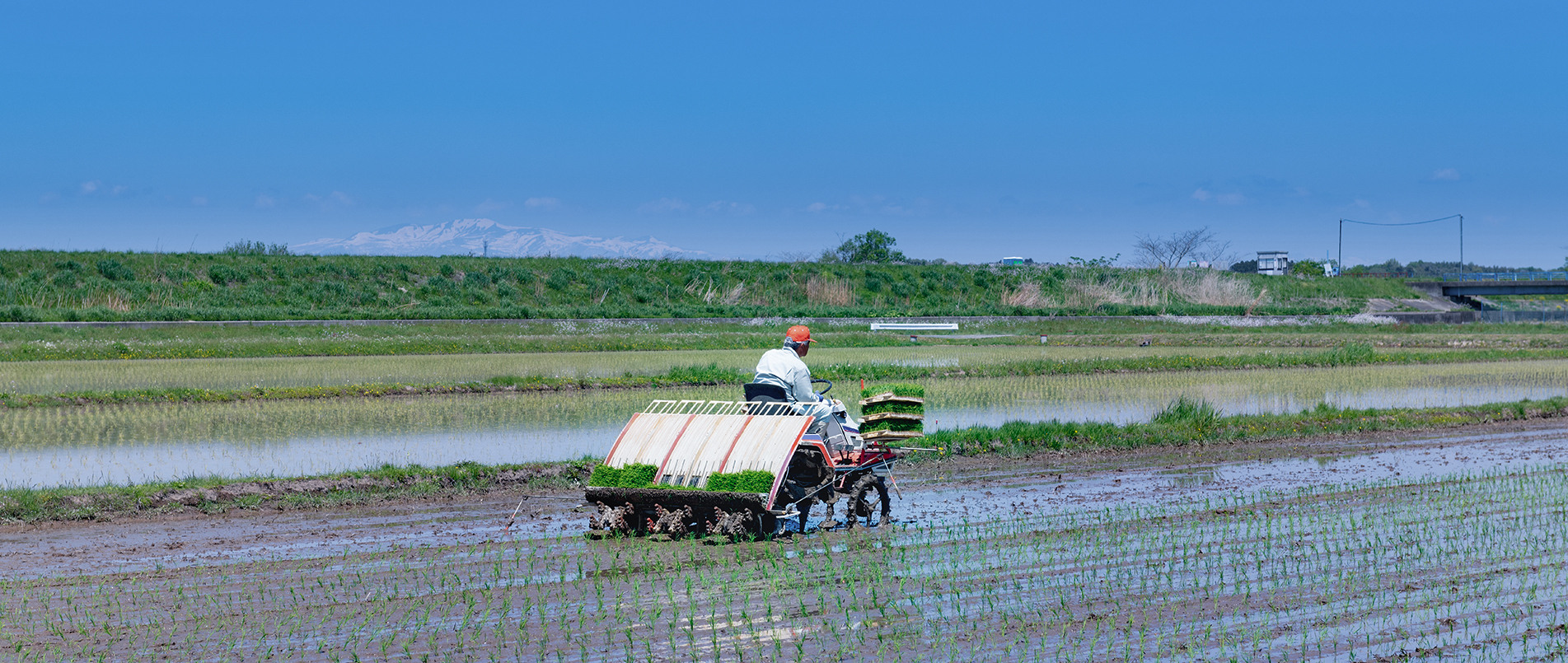 农机水田作业的“智慧大脑”——沃地泰FMA210，告别“经验种植”，开启精准高效农业之旅